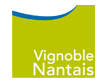 vignoble_nantais
